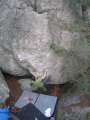 bleau_janfeb07_0003