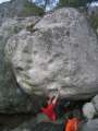 bleau_janfeb07_0010