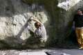 bleau_janfeb07_0013