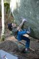 bleau_janfeb07_0014