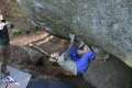 bleau_janfeb07_0023