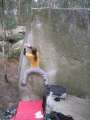 bleau_janfeb07_0055