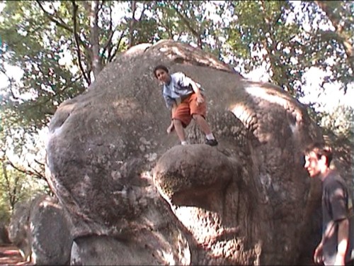 bleau_boulder61