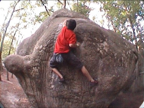 bleau_boulder71