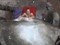 bleau_boulder44
