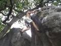 bleau_boulder58