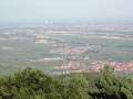 DSCN0081